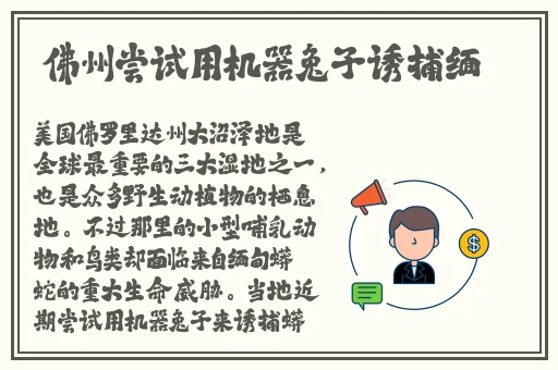 一级A片**按摩